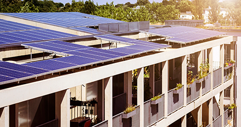 solar roof top